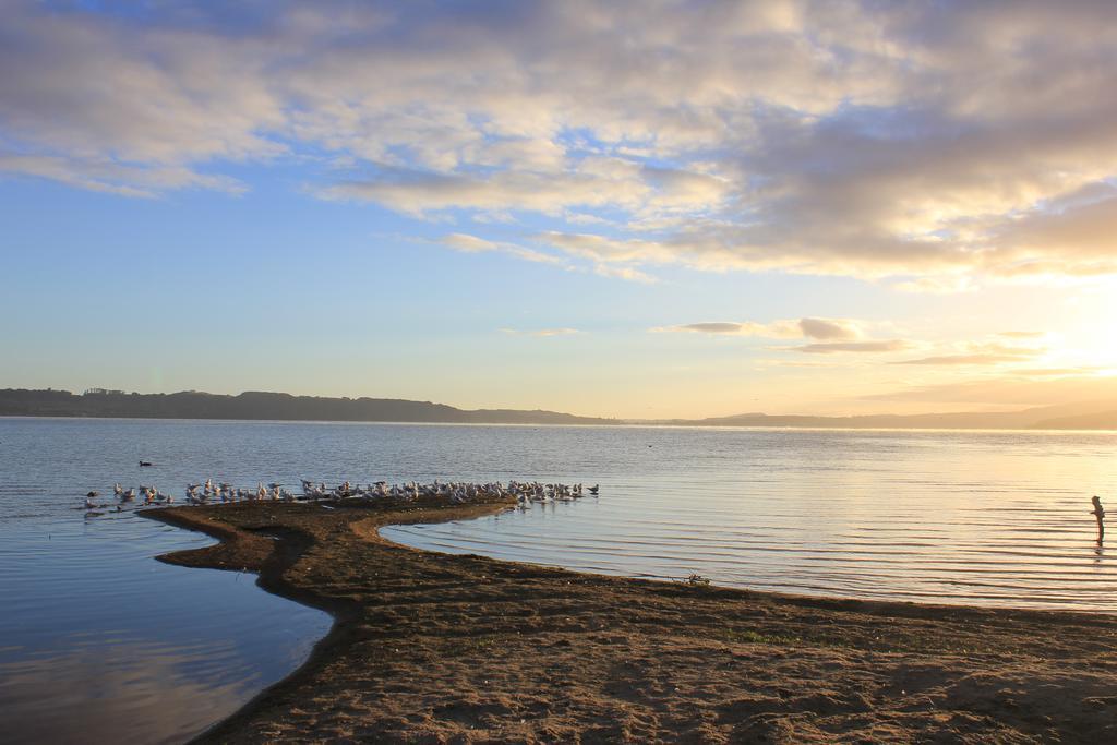 Lakeview Small Studio Rotorua Exteriör bild